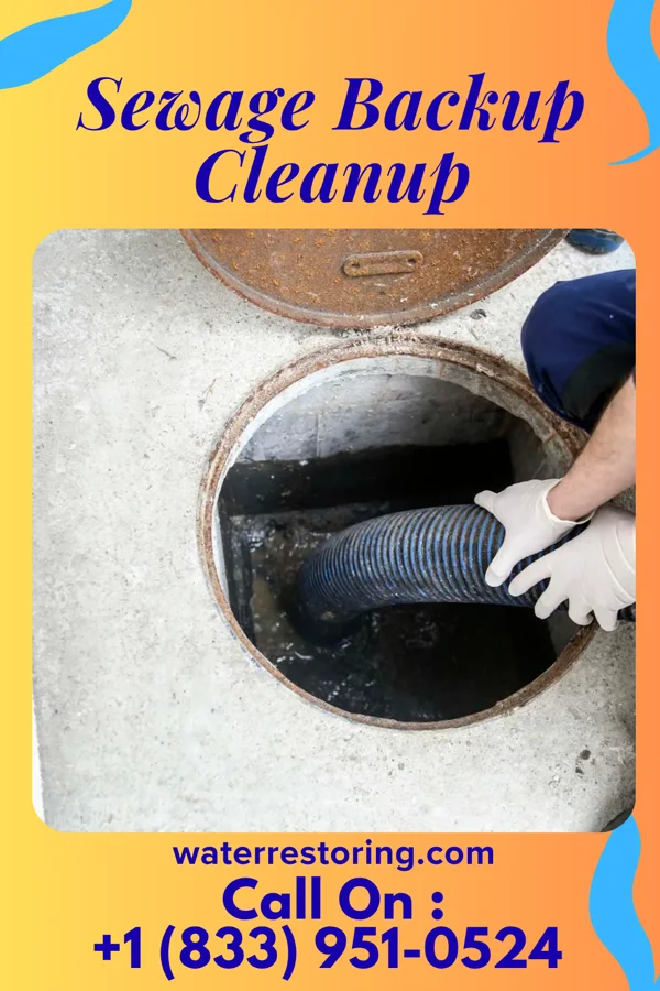 Sewage Backup Cleanup in Millerton, OK