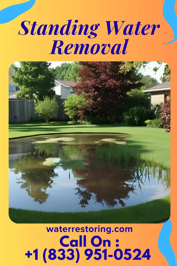 Standing Water Removal in Millerton, OK